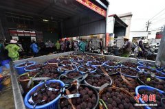 省漳州市龙海区浮宫镇一指定收购点